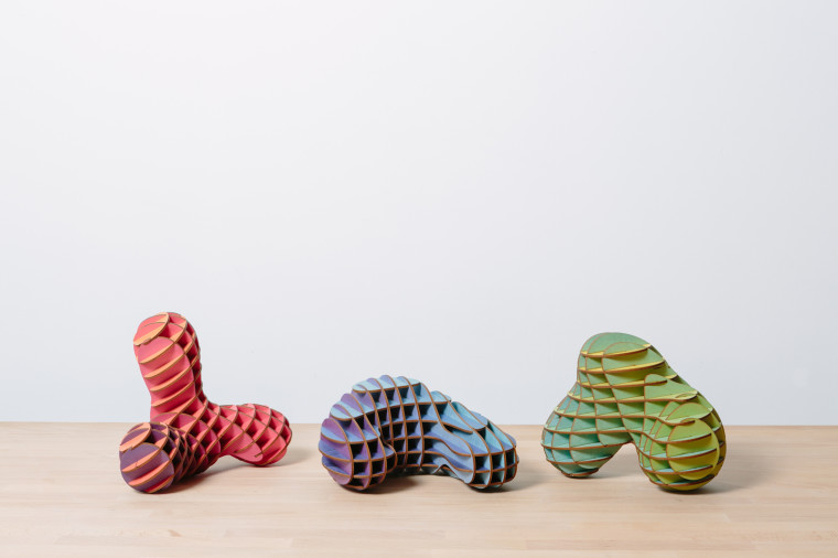 Laser Cut Sculpture Art on Table